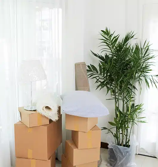 vertical-boxes